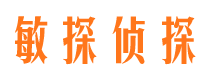 双桥市私人调查